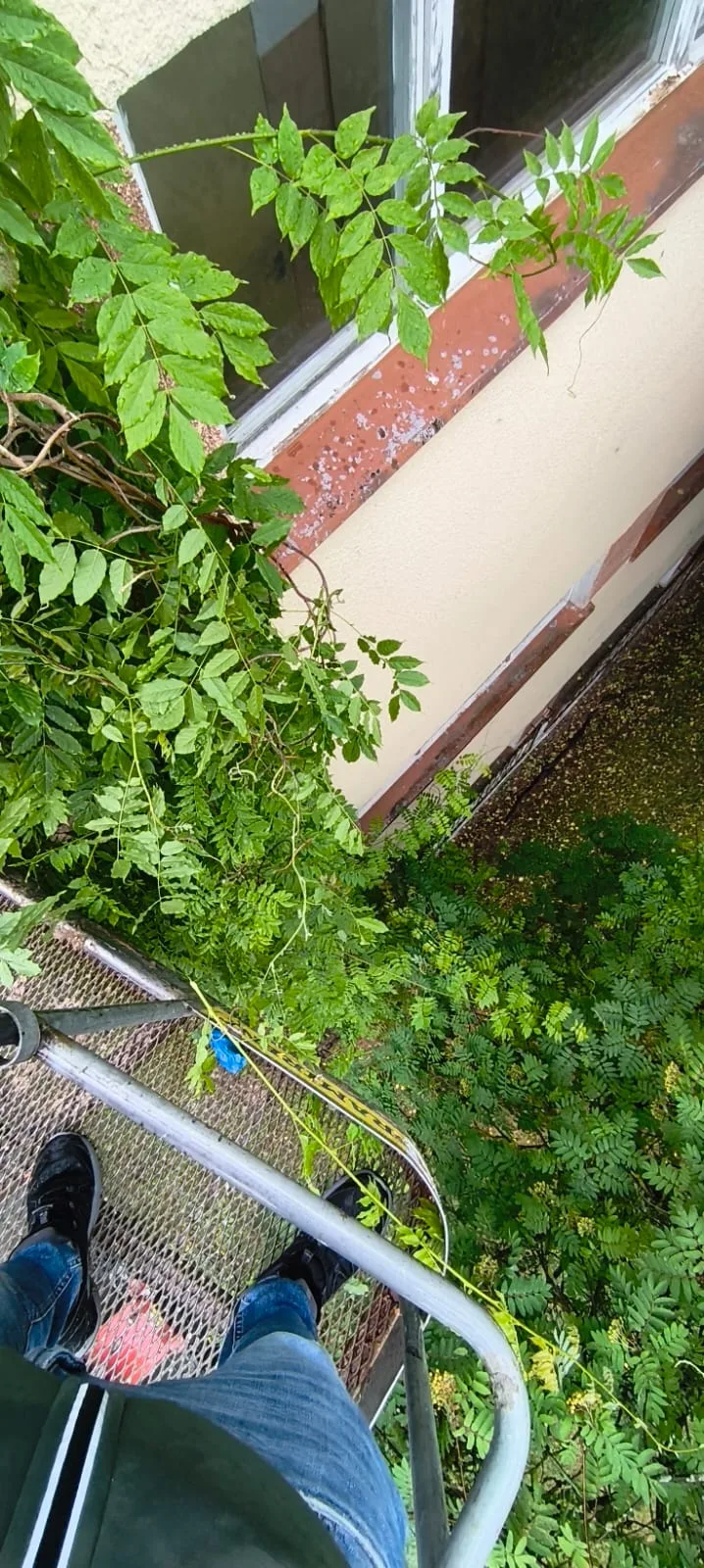 CKU Koszalin — stan instalacji odgromowej przed modernizacją, zdjęcie 4