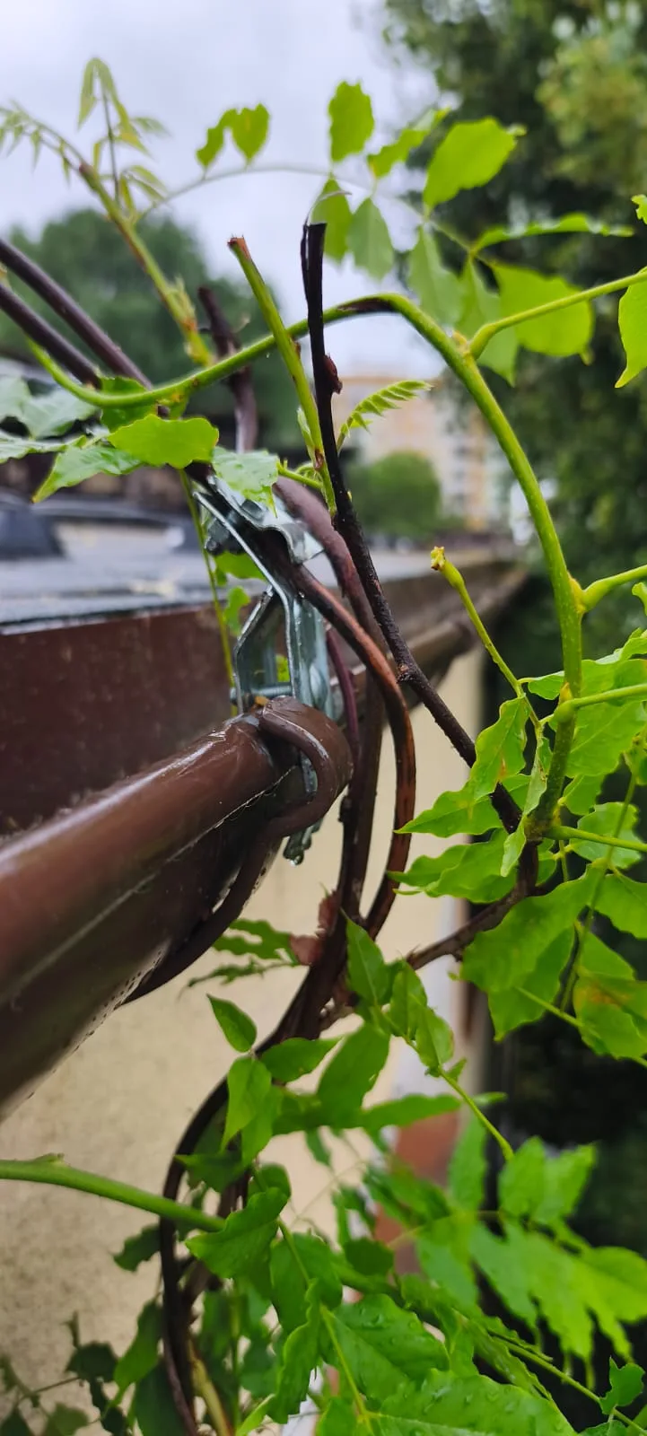 CKU Koszalin — stan instalacji odgromowej przed modernizacją, zdjęcie 5
